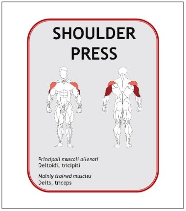 Shoulder Press  BN003 - PW Fit