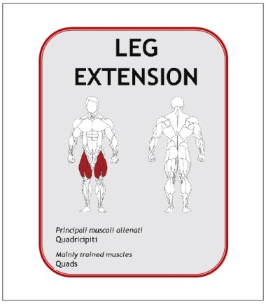 Leg Extension assis BN014 -...