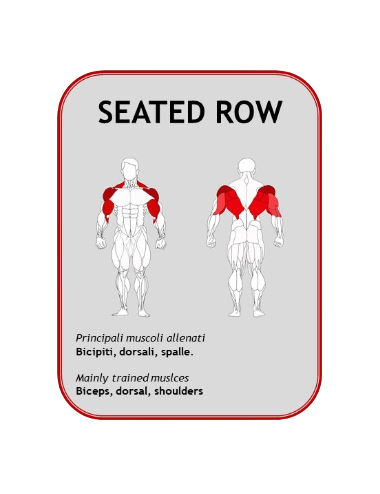 Seated Row Machine BN004 -...