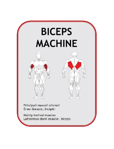 Biceps Machine  JL7605 - PW...