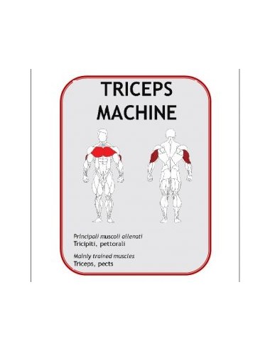 Triceps Machine Charges...